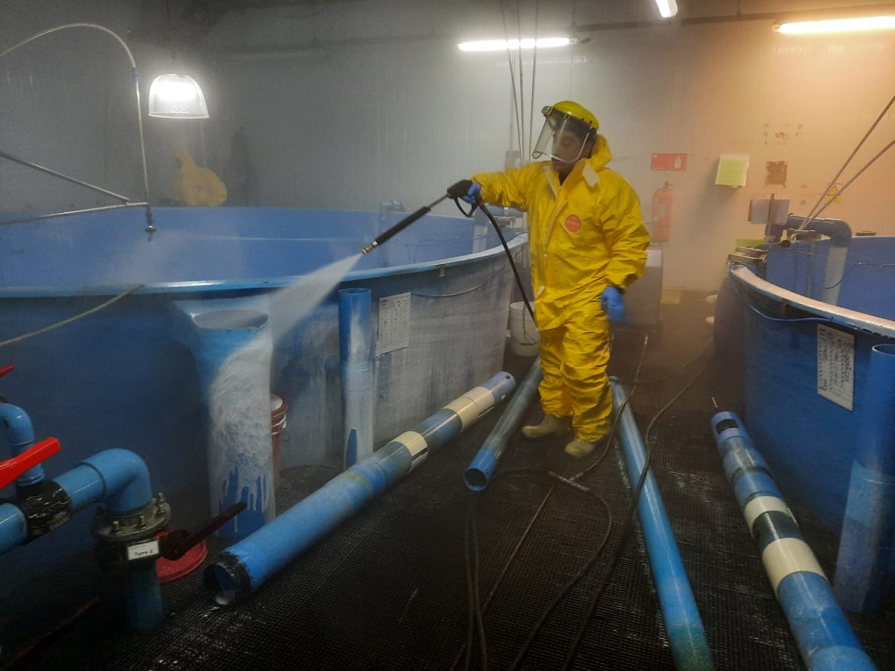 Limpieza por agua temperada